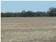 Lot 260 Old Deniliquin Road, Moama NSW 2731