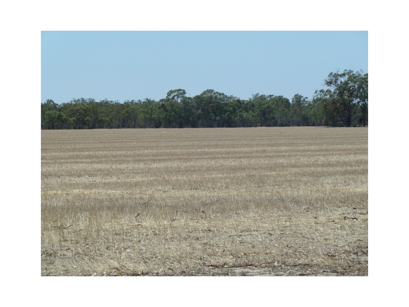 Lot 260 Old Deniliquin Road, Moama NSW 2731