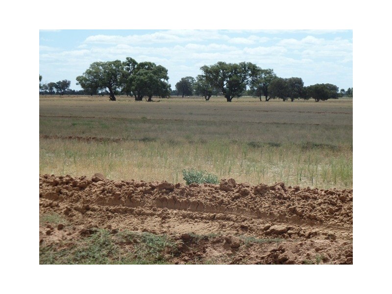 N/A Booroobil Road, Bunnaloo NSW 2731