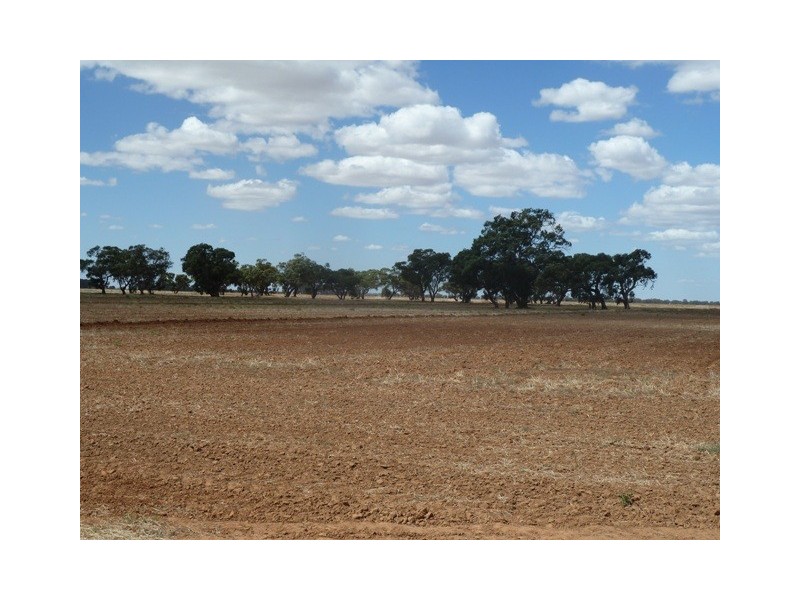 N/A Booroobil Road, Bunnaloo NSW 2731