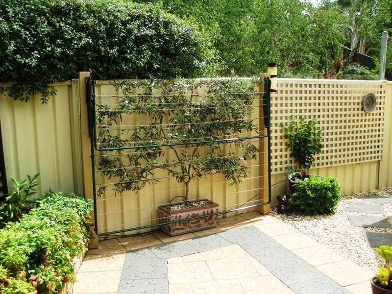 12 Green St, Alexandra VIC 3714