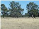 “Talvale” Old Deniliquin Road, Moama NSW 2731
