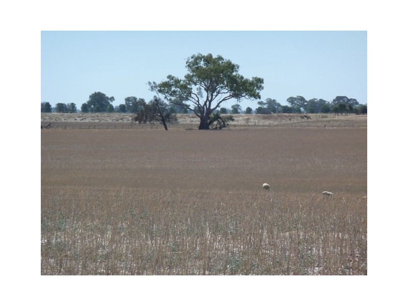 n/a Moira Road, Moama NSW 2731