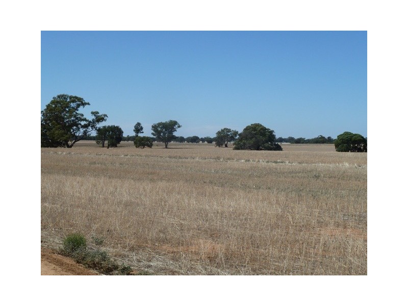 n/a Moira Road, Moama NSW 2731