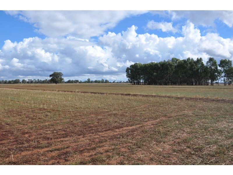 370 Coomboona Rd, Coomboona VIC 3629