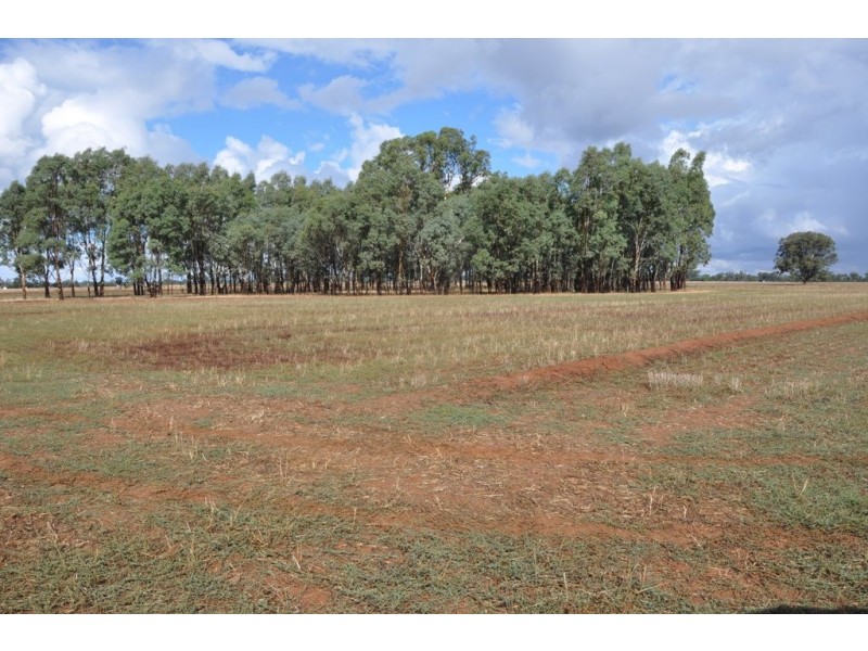 370 Coomboona Rd, Coomboona VIC 3629