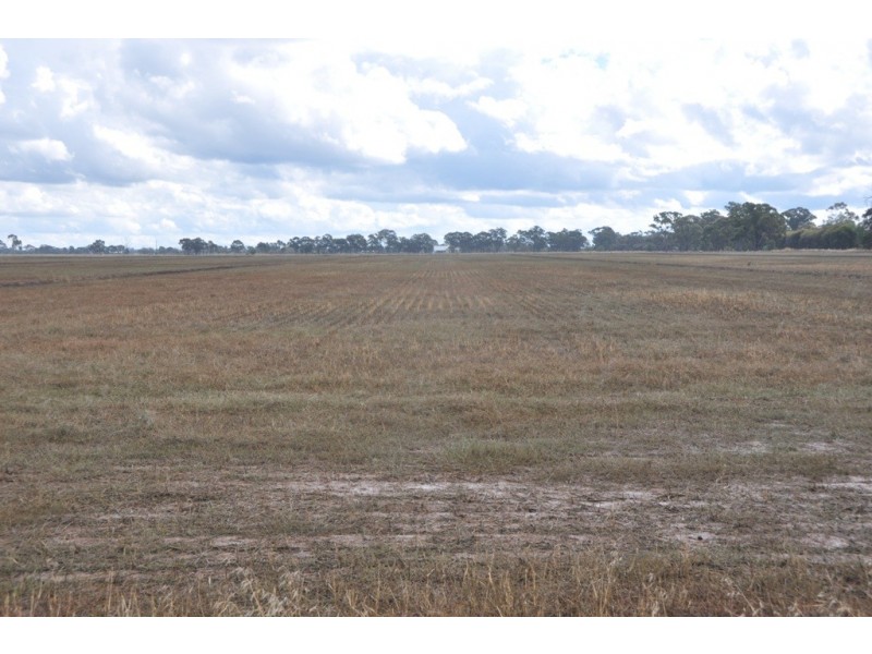 370 Coomboona Rd, Coomboona VIC 3629