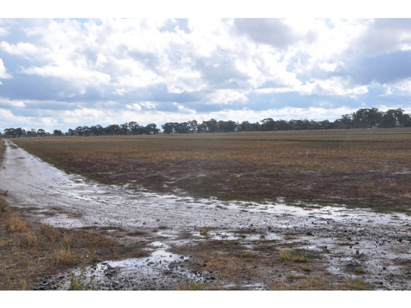 370 Coomboona Rd, Coomboona VIC 3629