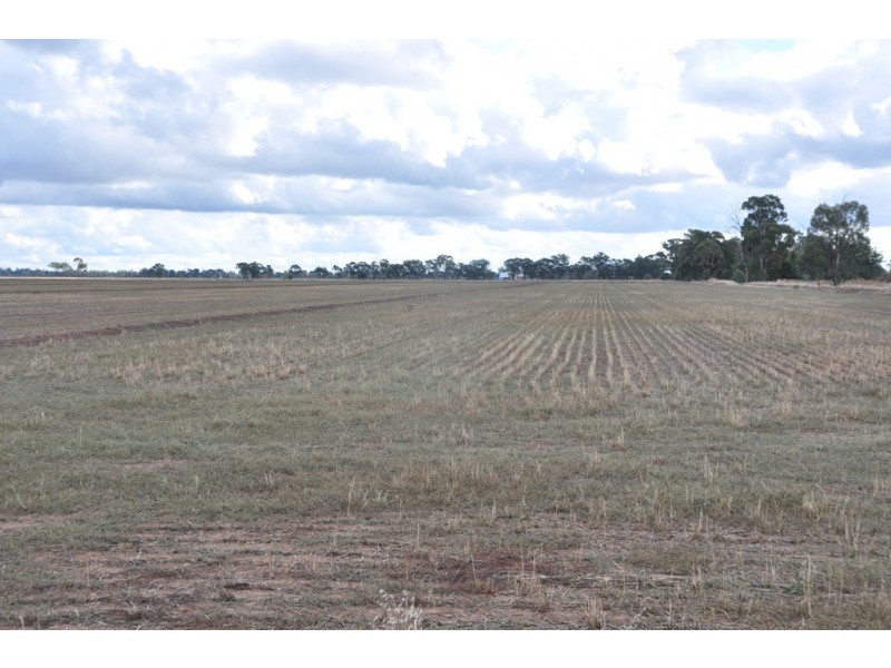 370 Coomboona Rd, Coomboona VIC 3629