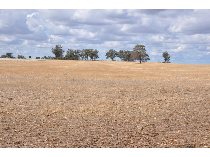 605 Angle Road, Murchison VIC 3610