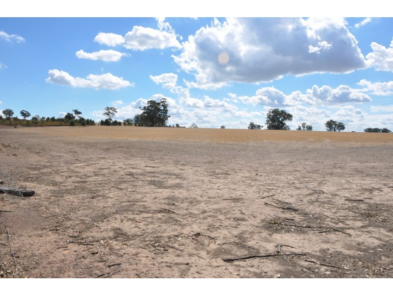 605 Angle Road, Murchison VIC 3610