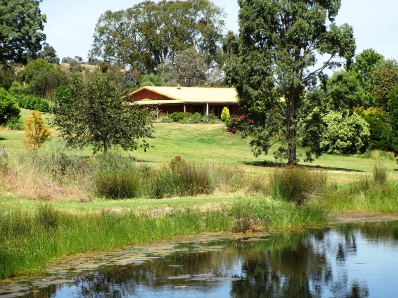 810 Maintongoon Road, Alexandra VIC 3714