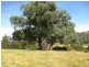810 Maintongoon Road, Alexandra VIC 3714
