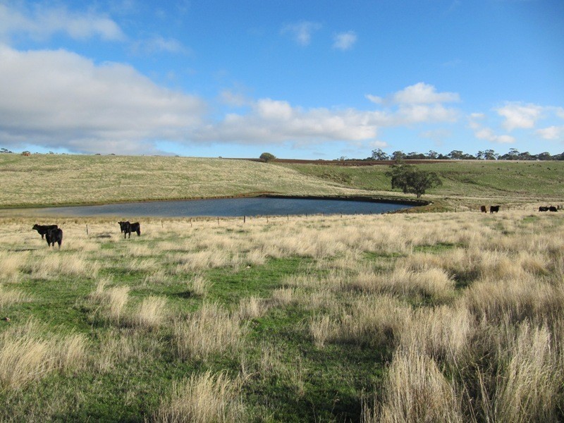 52 James Lane, Tylden VIC 3444