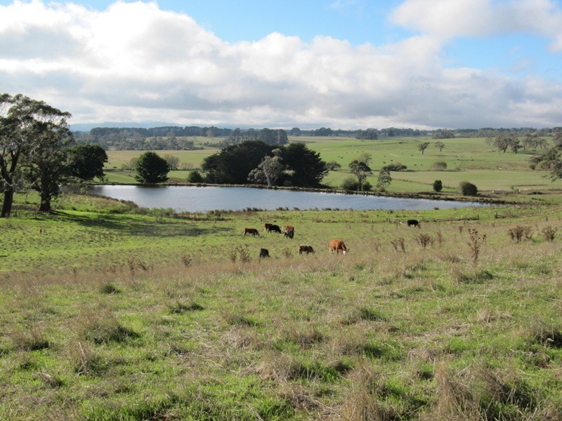 52 James Lane, Tylden VIC 3444