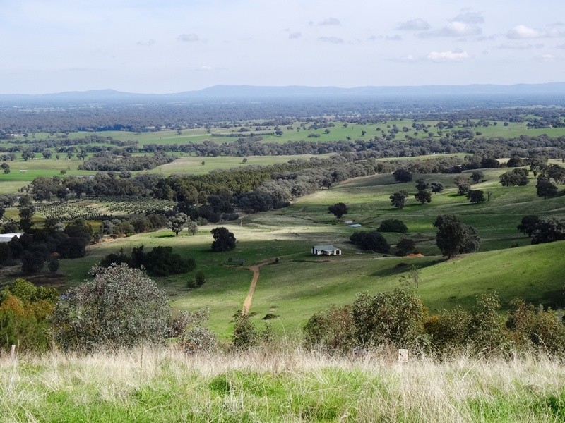 347 Diffey Road, Everton VIC 3678