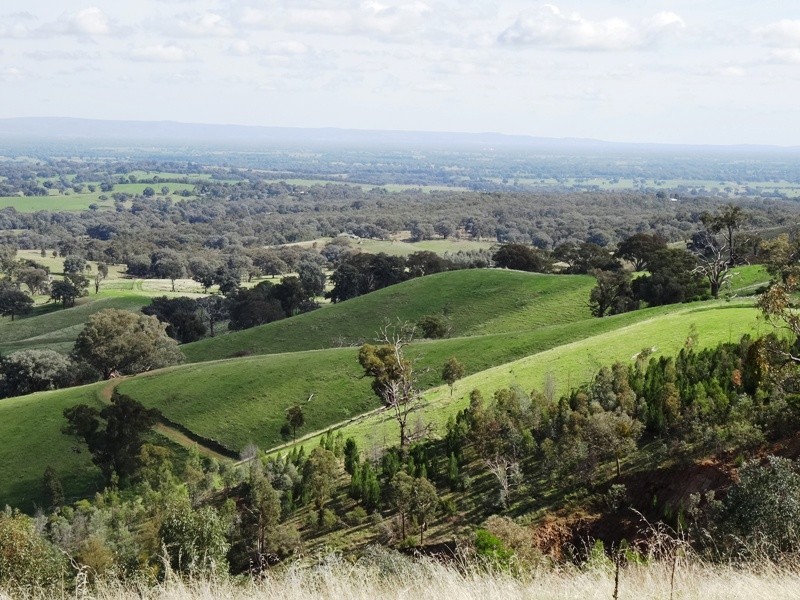 347 Diffey Road, Everton VIC 3678