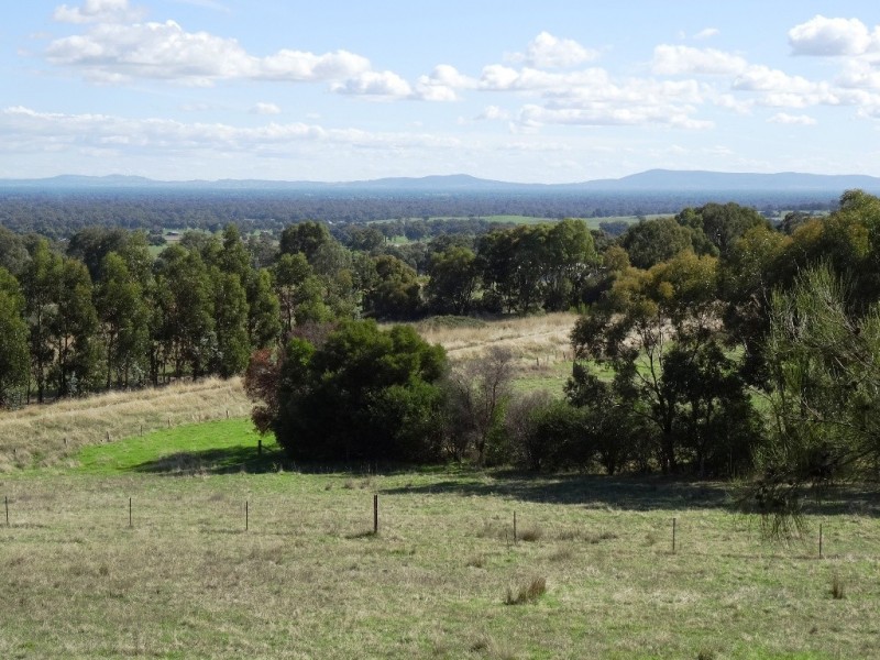 347 Diffey Road, Everton VIC 3678