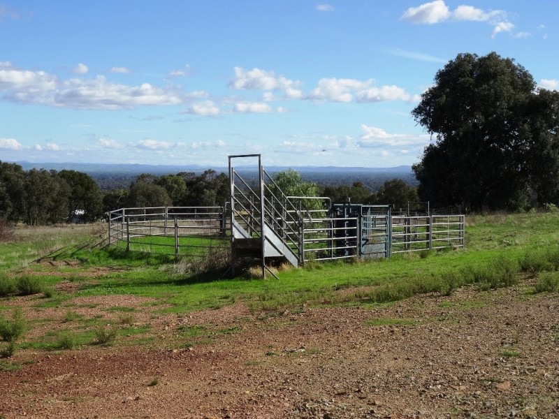 347 Diffey Road, Everton VIC 3678