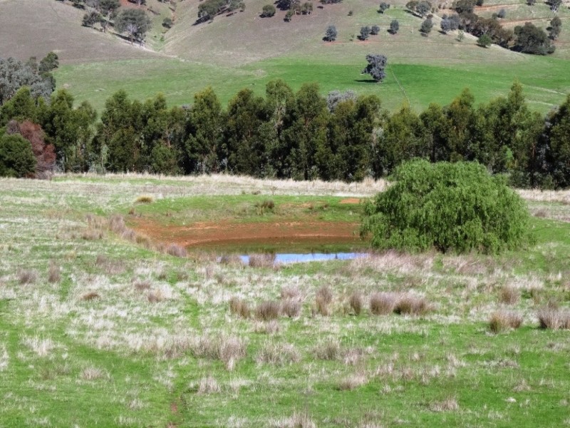 347 Diffey Road, Everton VIC 3678