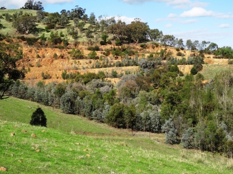 347 Diffey Road, Everton VIC 3678