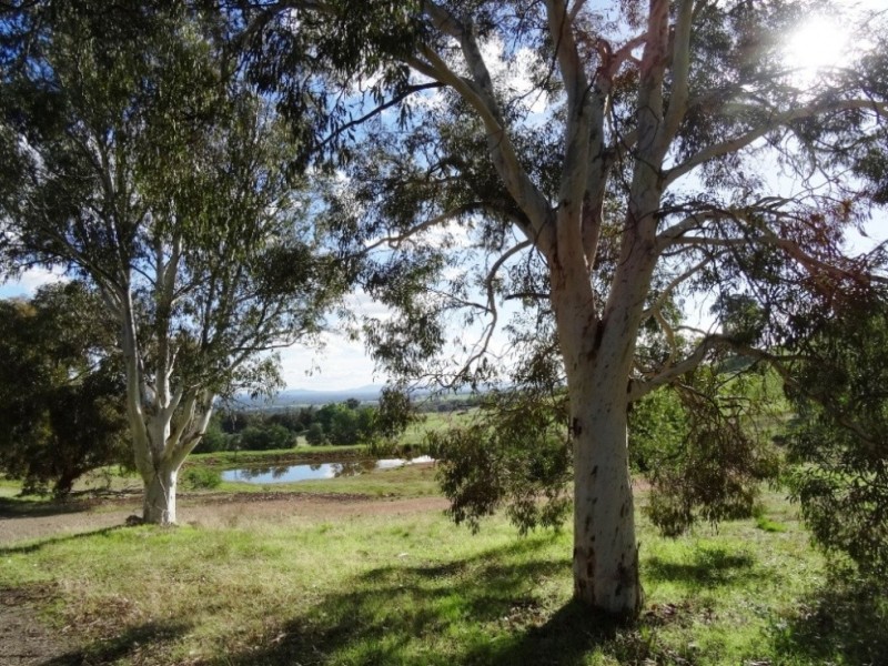 347 Diffey Road, Everton VIC 3678