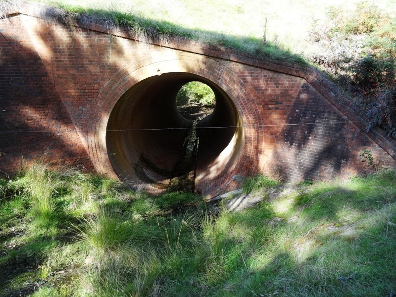 347 Diffey Road, Everton VIC 3678