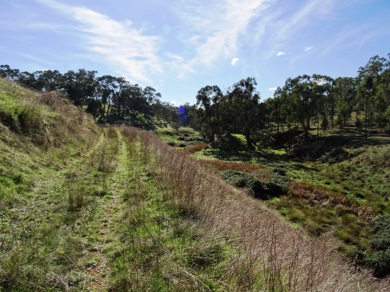 347 Diffey Road, Everton VIC 3678