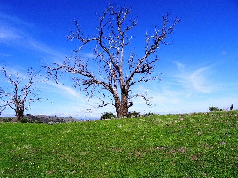 347 Diffey Road, Everton VIC 3678