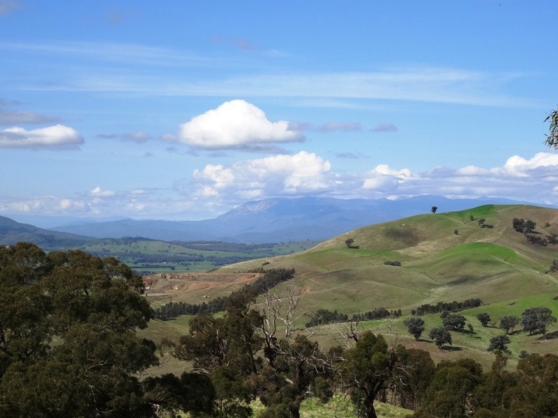 347 Diffey Road, Everton VIC 3678