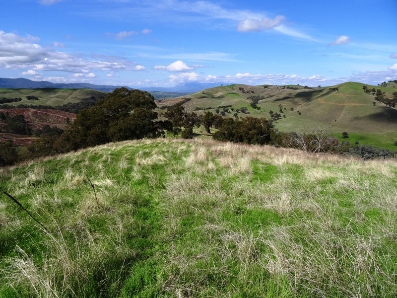 347 Diffey Road, Everton VIC 3678