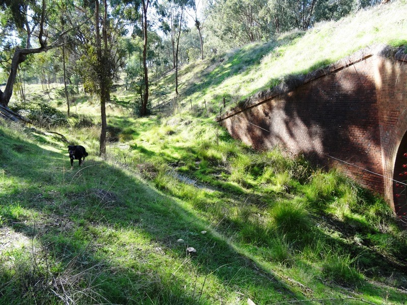 347 Diffey Road, Everton VIC 3678