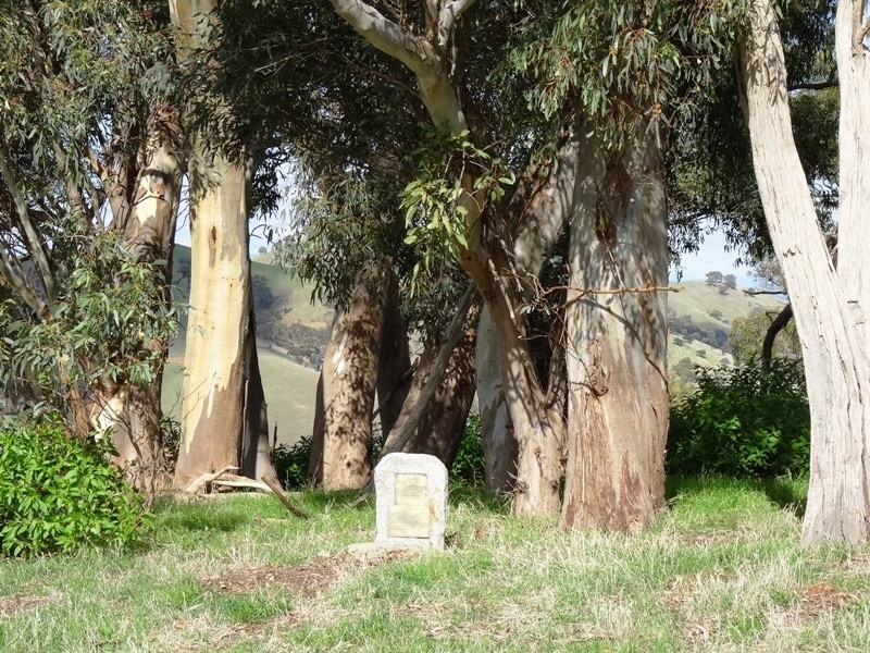 347 Diffey Road, Everton VIC 3678