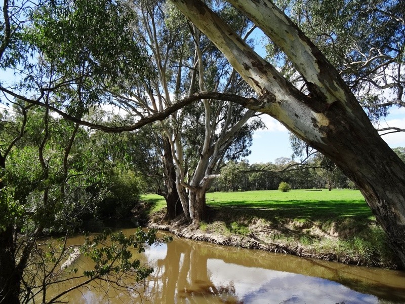 619 Mansfield Road (Midland Hwy), Benalla VIC 3672