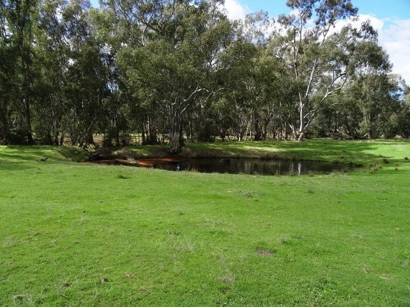 619 Mansfield Road (Midland Hwy), Benalla VIC 3672