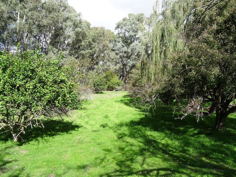 619 Mansfield Road (Midland Hwy), Benalla VIC 3672