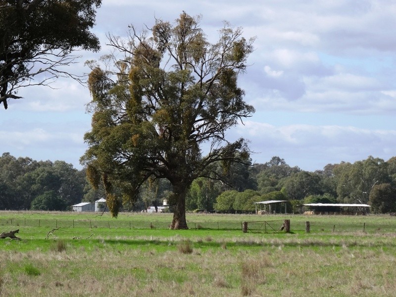 619 Mansfield Road (Midland Hwy), Benalla VIC 3672