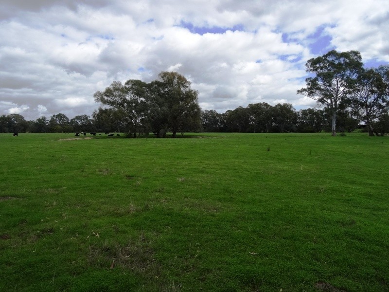 619 Mansfield Road (Midland Hwy), Benalla VIC 3672