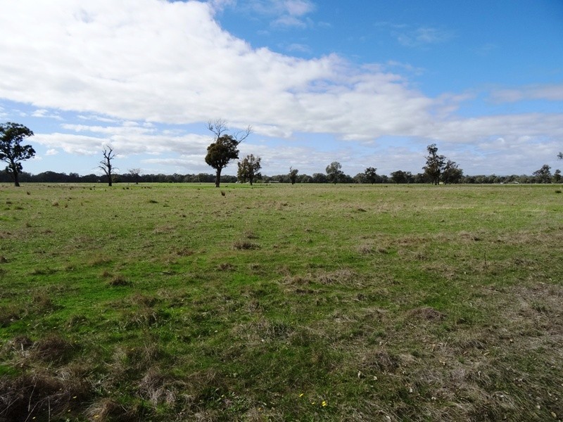 619 Mansfield Road (Midland Hwy), Benalla VIC 3672