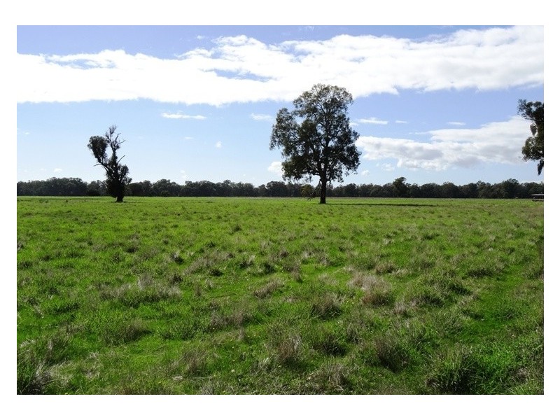 619 Mansfield Road (Midland Hwy), Benalla VIC 3672