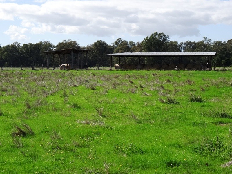 619 Mansfield Road (Midland Hwy), Benalla VIC 3672