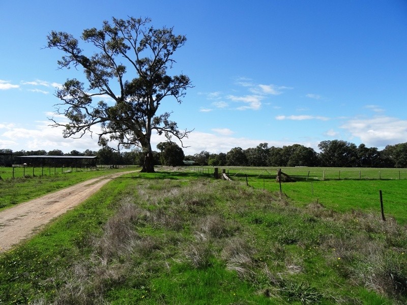 619 Mansfield Road (Midland Hwy), Benalla VIC 3672