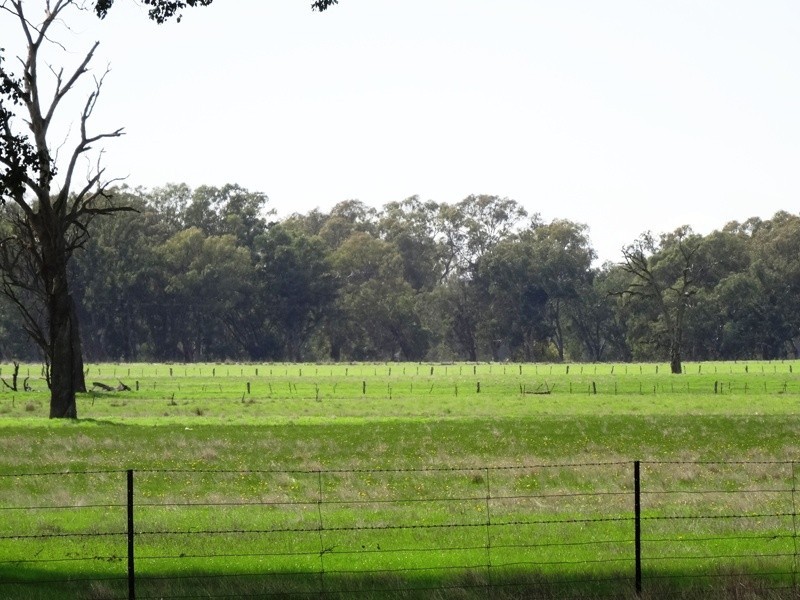 619 Mansfield Road (Midland Hwy), Benalla VIC 3672