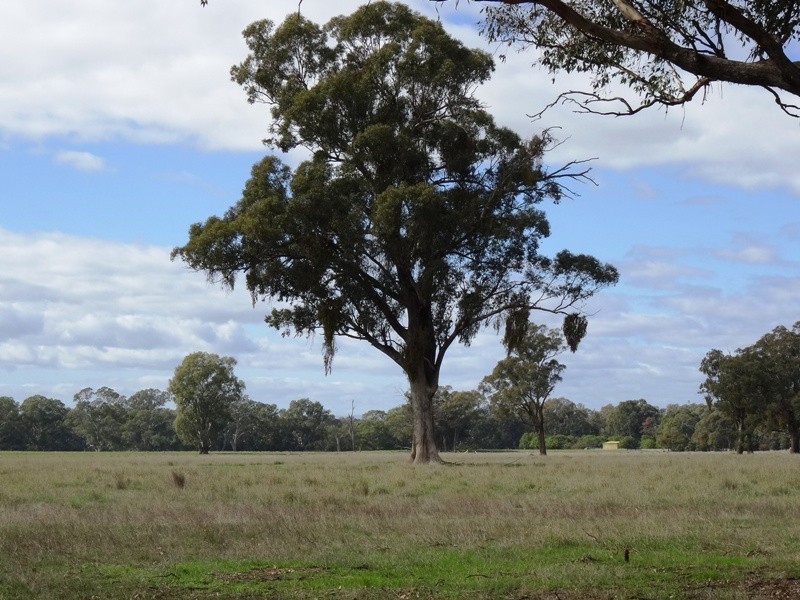 619 Mansfield Road (Midland Hwy), Benalla VIC 3672