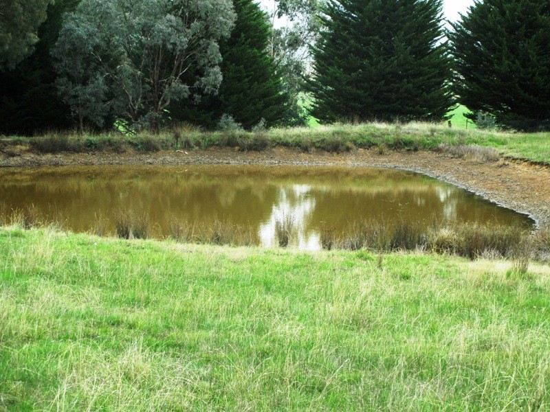 950 Yarck Road, Yarck VIC 3719