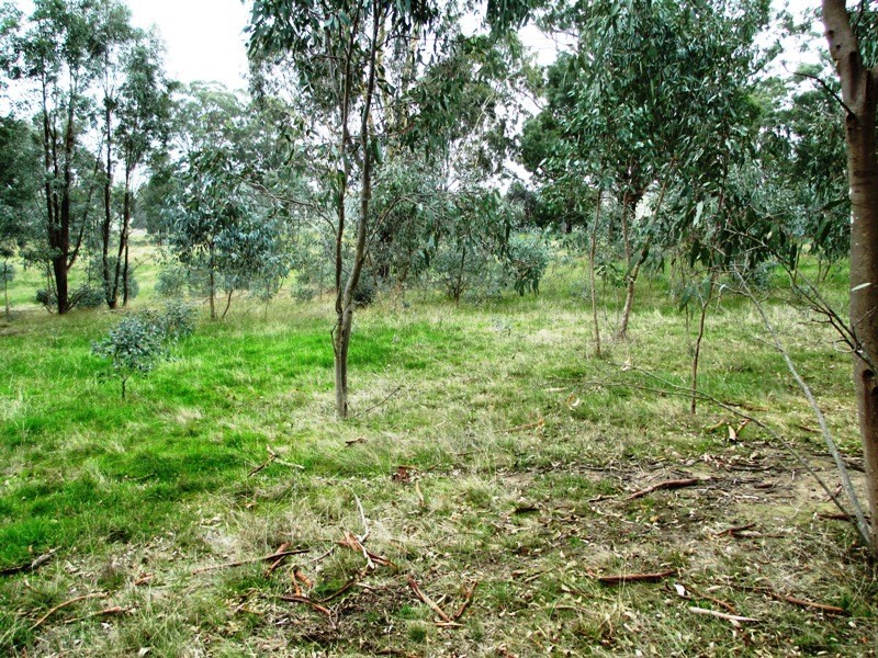 950 Yarck Road, Yarck VIC 3719