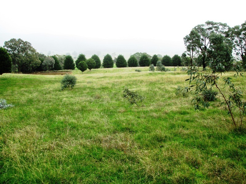 950 Yarck Road, Yarck VIC 3719