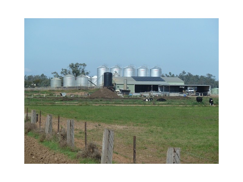 4360 Perricoota Road, Moama NSW 2731