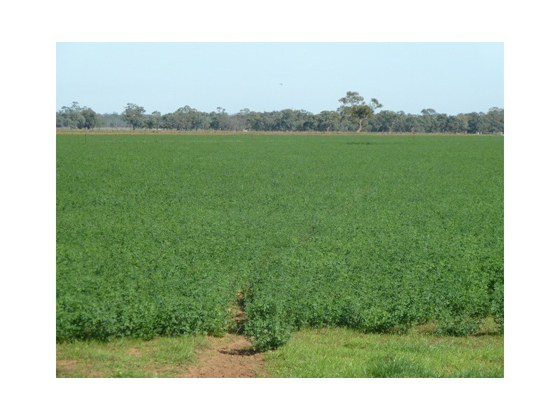 4360 Perricoota Road, Moama NSW 2731