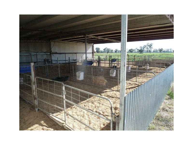 4360 Perricoota Road, Moama NSW 2731